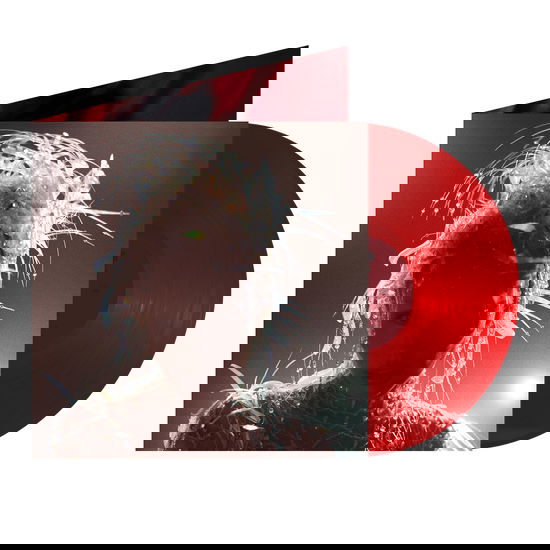 Something Beautiful (GD exclusive Translucent Red Edition) - Miley Cyrus [Colour Vinyl]