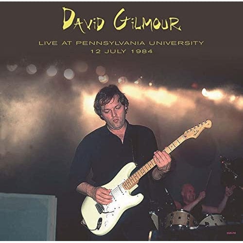 David Gilmour - Live At Pennsylvania University, 12 July 1984