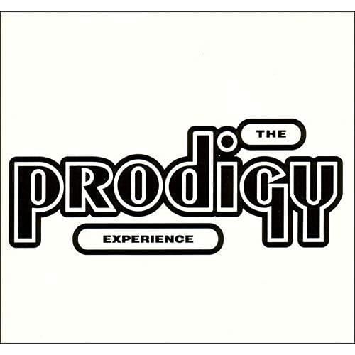 Experience - The Prodigy [VINYL]