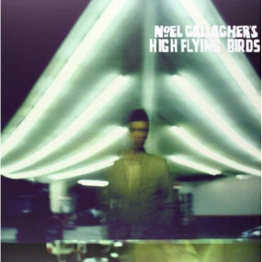 NOEL GALLAGHERS HIGH FLYING BIRDS  [VINYL]