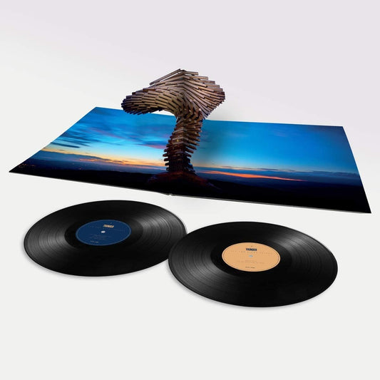 All the Right Noises:   - Thunder [VINYL]