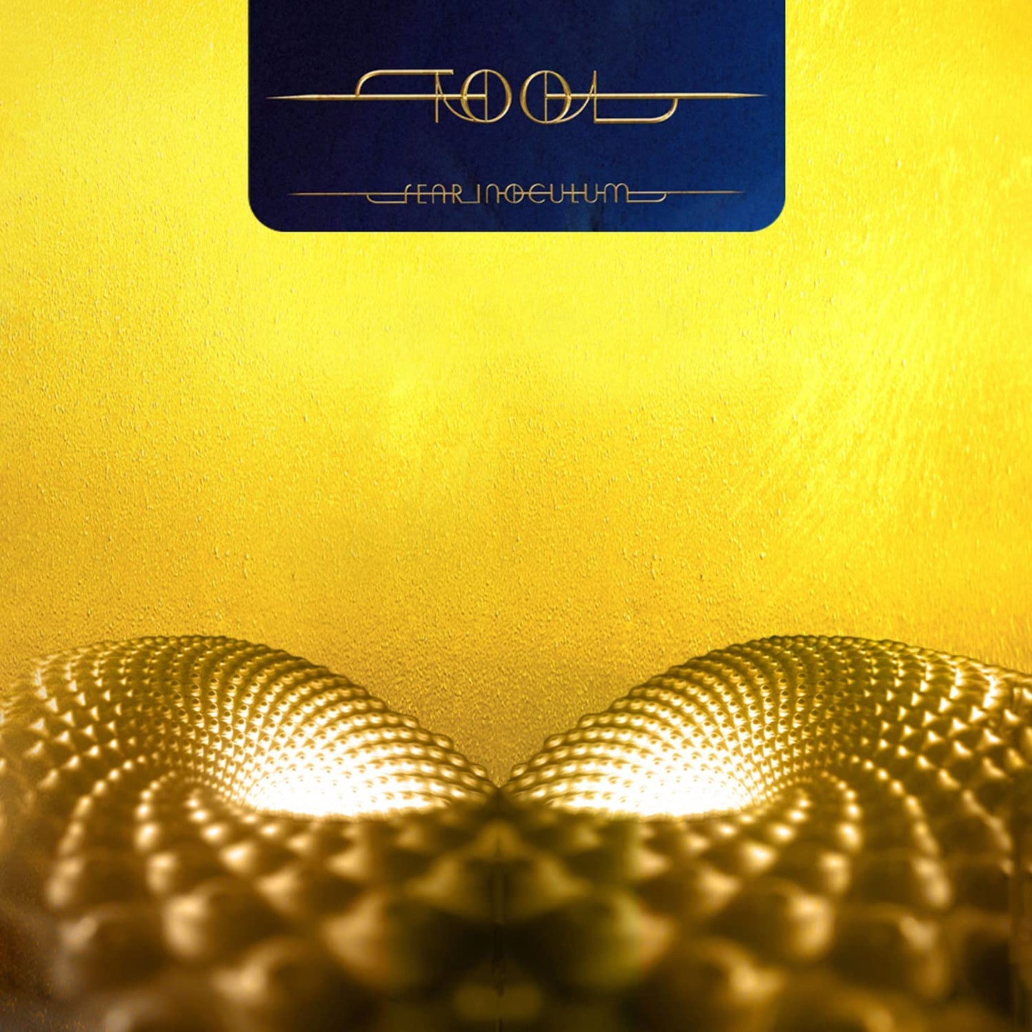 Fear Inoculum:   - Tool [VINYL]