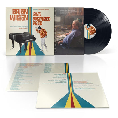 Brian Wilson: Long Promised Road - Brian Wilson [VINYL]