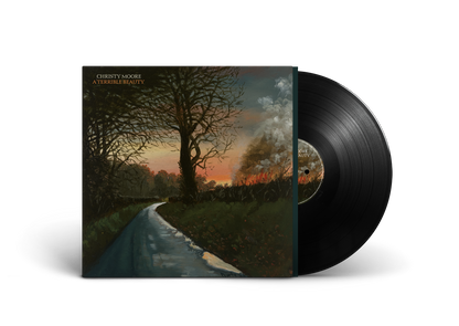 A Terrible Beauty - Christy Moore [VINYL]