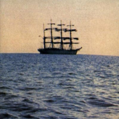 The Doctor Came at Dawn - Smog [VINYL]