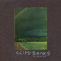 To Realize - Clipd Beaks [VINYL]