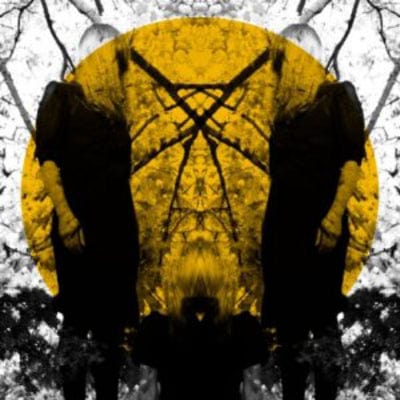 Feel It Break - Austra [VINYL]