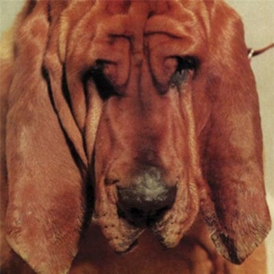 Goodbye Bread - Ty Segall [VINYL]