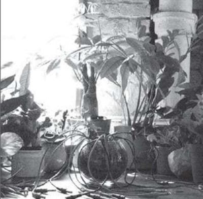 Mindreading - Singer [VINYL]