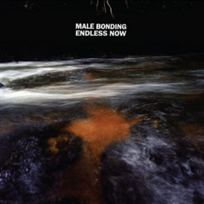 Endless Now - Male Bonding [VINYL]