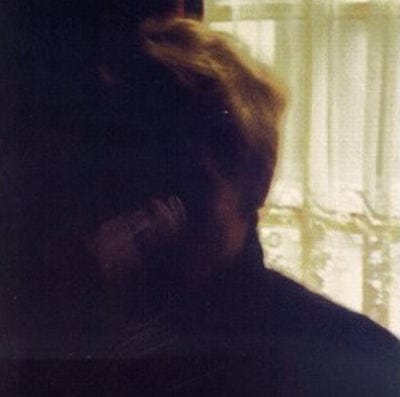 Days in the Wake - Palace Brothers [VINYL]