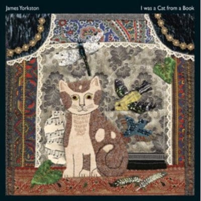 I Was a Cat from a Book: Extra Tracks - James Yorkston [VINYL]