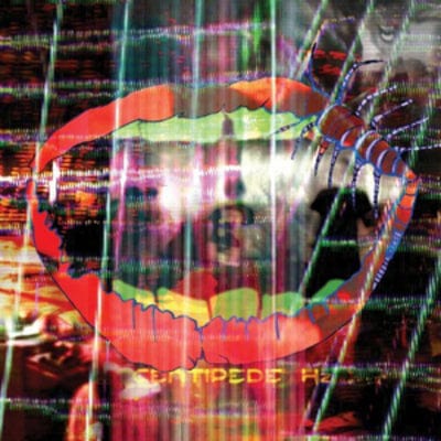 Centipede Hz - Animal Collective [VINYL]