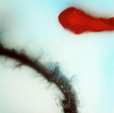 Stubborn Heart - Stubborn Heart [VINYL]