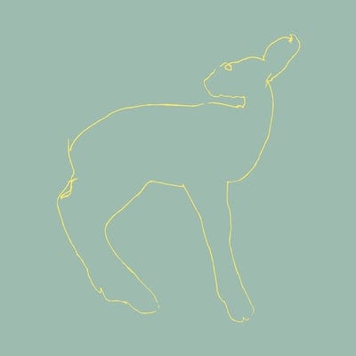 Hecla & Griper - Songs: Ohia [VINYL]