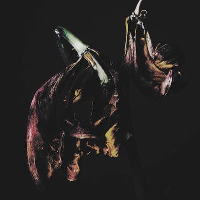 Grin - Traams [VINYL]