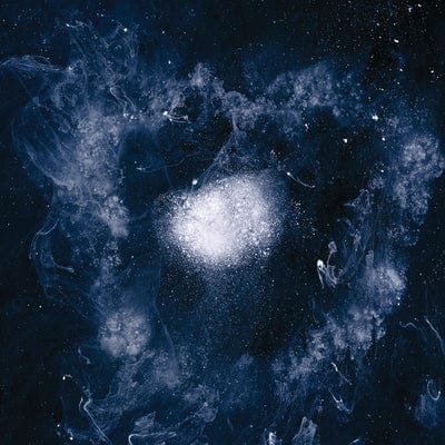 My Father Will Guide Me Up to a Rope to the Sky - Swans [VINYL]