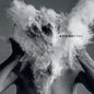 Do to the Beast - The Afghan Whigs [VINYL]