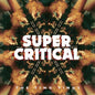 Super Critical - The Ting Tings [VINYL]