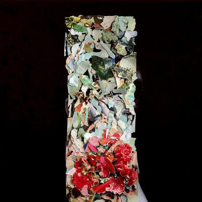 A Taller Us - Foxtrott [VINYL]