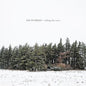 Telling the Trees - RM Hubbert [VINYL]