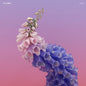 Skin - Flume [VINYL]