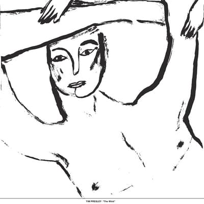 The Wink:   - Tim Presley [VINYL]