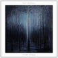 Ilya Beshevil: Night Forest:   - Ilya Beshevli [VINYL]