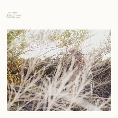 A Hand Through the Cellar Door:   - Luke Temple [VINYL]