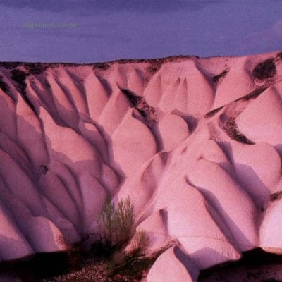 Amber - Autechre [VINYL]