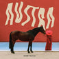 Future Politics:   - Austra [VINYL]