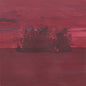 The Besnard Lakes Are the Divine Wind:   - The Besnard Lakes [VINYL]