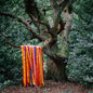 The Animal Spirits:   - James Holden & The Animal Spirits [VINYL]