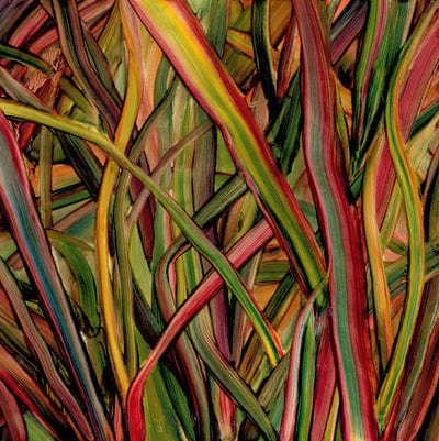 Where Wilderness Grows:   - Gengahr [VINYL]