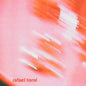 Wave Field - Rafael Toral [VINYL]