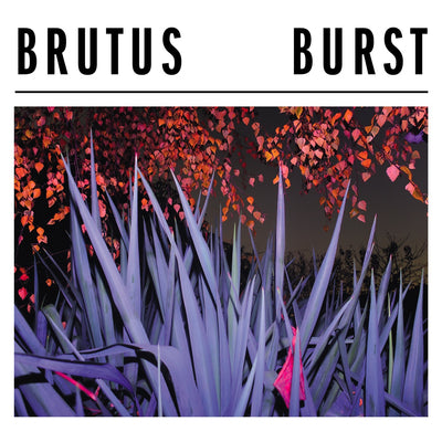 Burst - Brutus [VINYL]