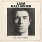 As You Were (Indie exclusive):   - Liam Gallagher [VINYL]