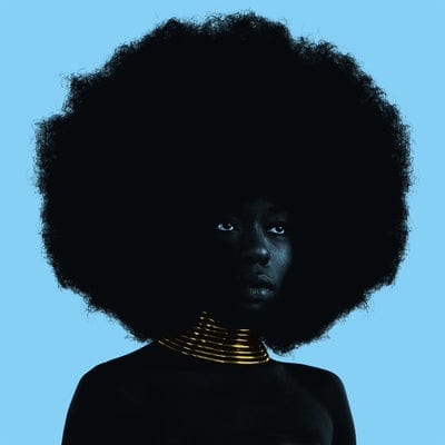 Sink:   - Sudan Archives [VINYL]