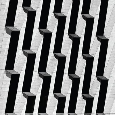 Everything Ascending:   - Snow Palms [VINYL]