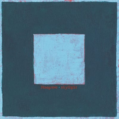 Skylight:   - Pinegrove [VINYL]
