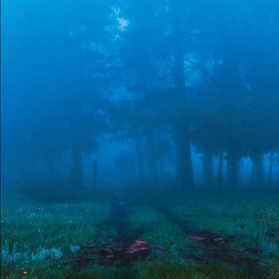 Commune:   - Angèle David-Guillou [VINYL]