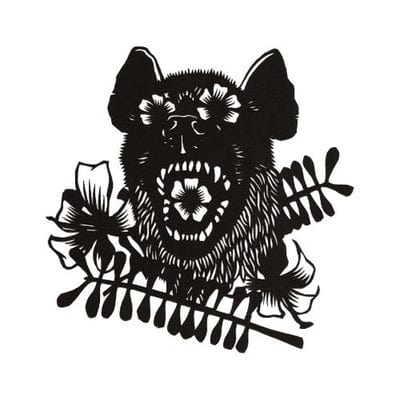 Rider:   - Okkervil River [VINYL]