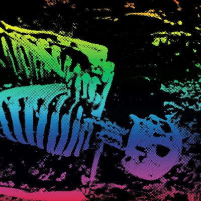 Soaker:   - Soaker [VINYL]