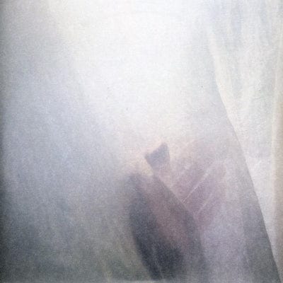 Wild Palms:   - Sun Airway [VINYL]