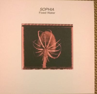 Fixed Water - Sophia [VINYL]