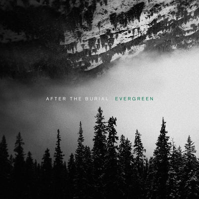 Evergreen - After the Burial [VINYL]