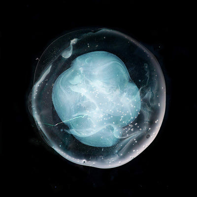 The Undivided Five - A Winged Victory for the Sullen [VINYL]