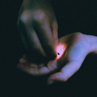 Stray:   - Bambara [VINYL]