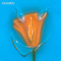 Uneasy Laughter:   - Moaning [VINYL]