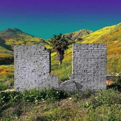 All Or Nothing:   - Shopping [VINYL]